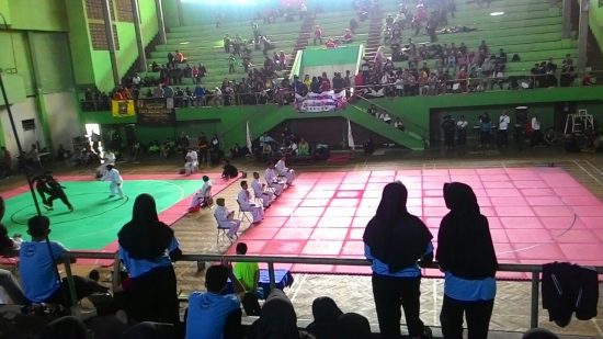 Kejuaraan Nasional Pencak Silat